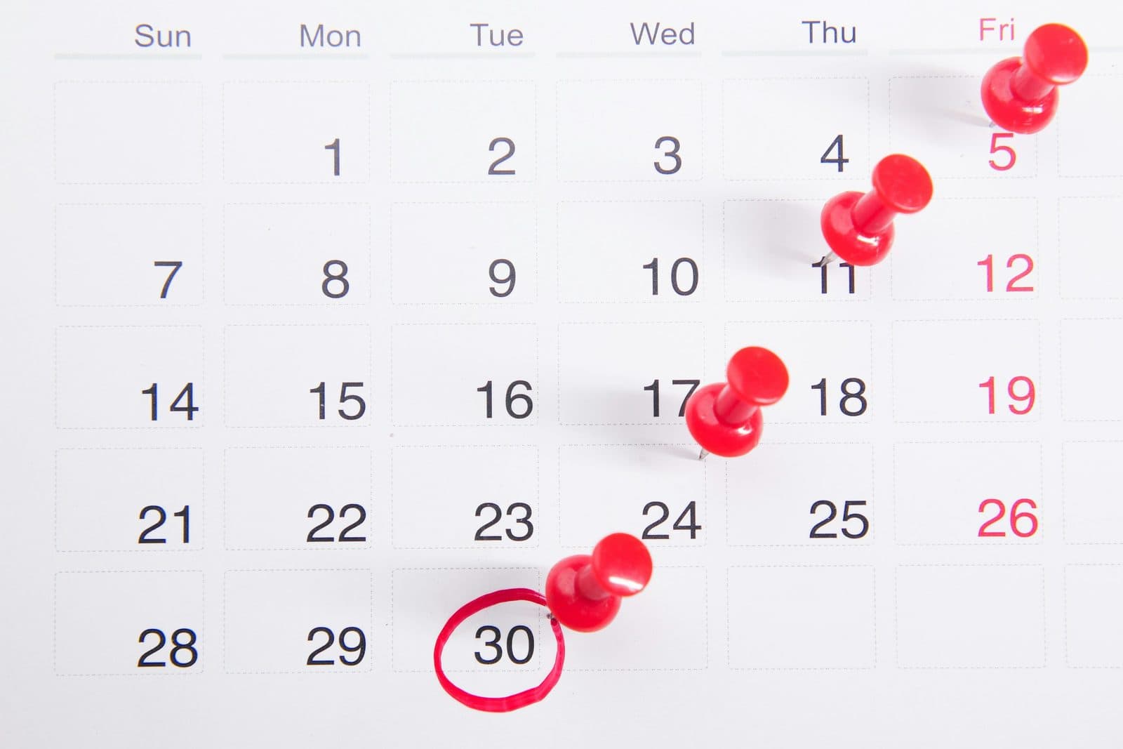 Calendar with booked dates pinned and a return date circled